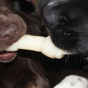 Meet your Posher, Terri